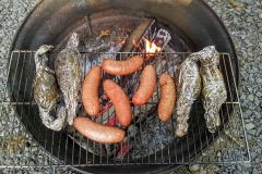 Brats over the firepit
